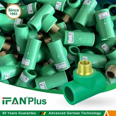 IFANPLUS PPR vīriešu Tēja